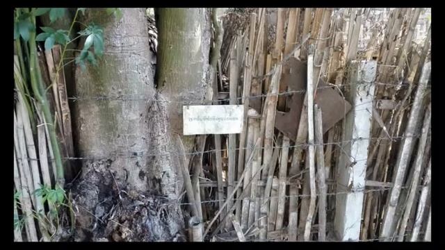 Лагеря бирманских беженцев смотреть онлайн