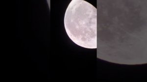 Луна в телескоп Sky-watcher BK 909AZ3 + Galaxy S9+