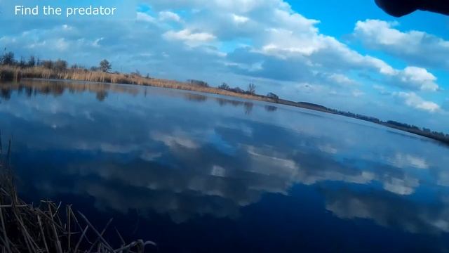 Зимний спиннинг на Кубани Ловля щуки смотреть онлайн