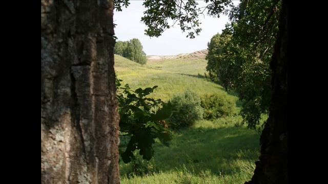 Пономаревка малая родина. смотреть онлайн