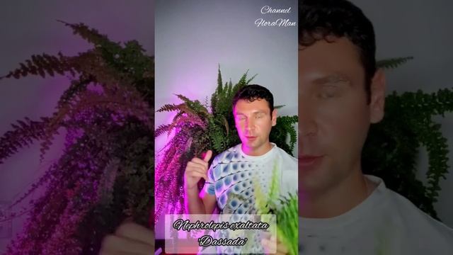 тут подробнее Https://youtube.com/playlist?list=PLwFq5gRZusEr4rSM-mRFR1txhrsAClknK