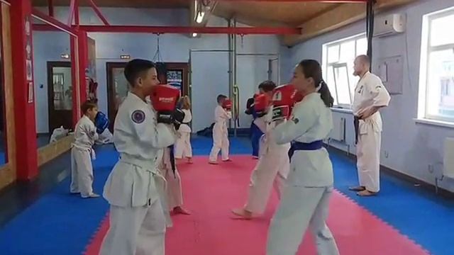 УТС по КУДО. с.к.Кайдзен, Феодосия. дети 6-13 лет. День первый. смотреть онлайн