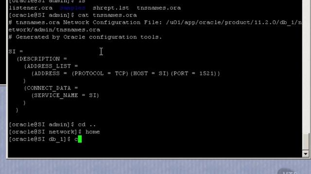 17 Rerunning netca ntemgr dbca смотреть онлайн
