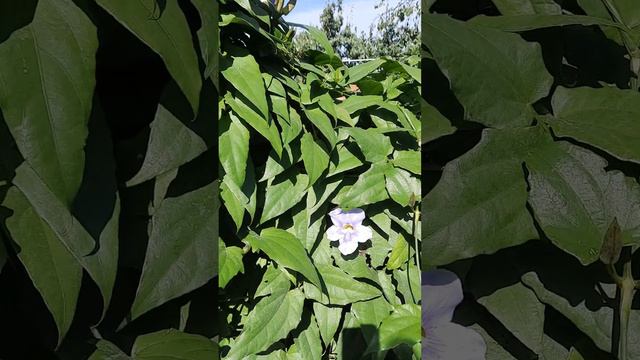 7 октября 2022 г. смотреть онлайн