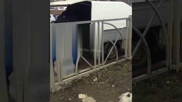 Отстрел бездомных собак в Ставрополе взбудоражил общественность смотреть онлайн