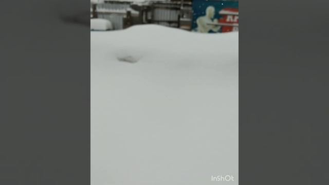 Зимовка пчел на улице при - 40. 2021