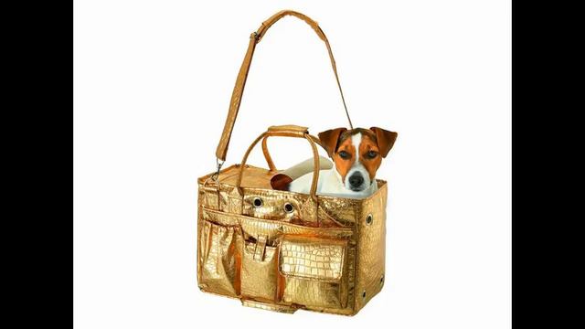 louis vuitton сумка собака смотреть онлайн