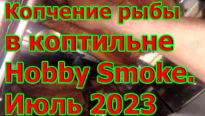 Копчение рыбы в домашних условиях в коптильне Hobby Smoke