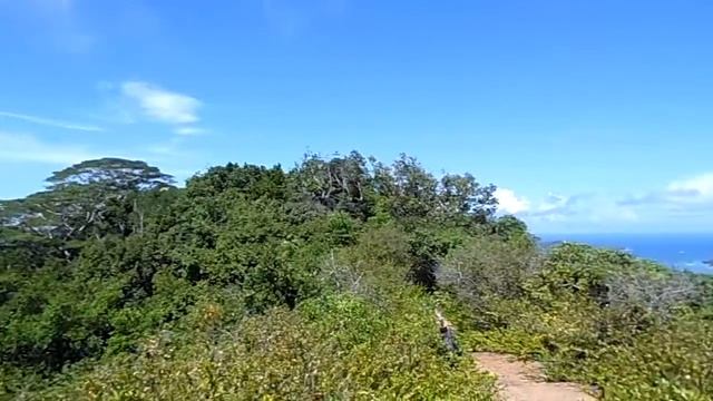 Вершина пика Nid D'Aigles (333м). Остров La Digue. Сейшельские острова смотреть онлайн