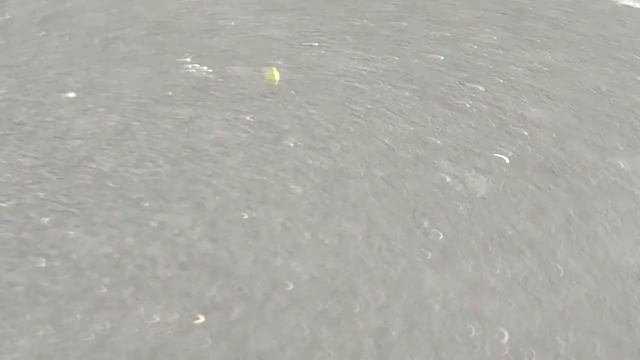 Тот самый, момент. когда даже Голуби танцуют... смотреть онлайн