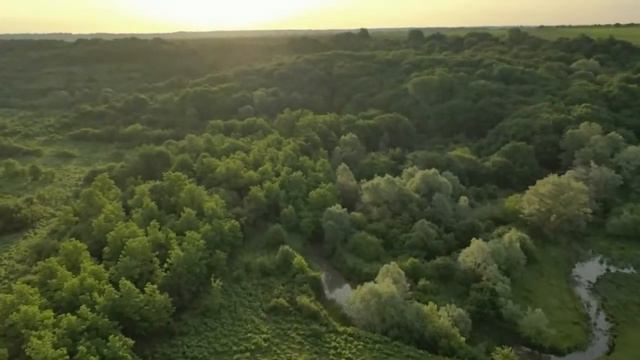 2 Выбор участка. смотреть онлайн