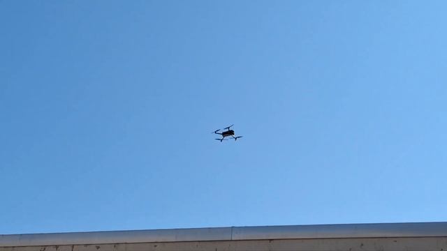 Pigeons React to a Drone - Automated Collision Avoidance System Dodges Birds Includes Demonstration смотреть онлайн
