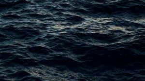 В тихом омуте.mp4