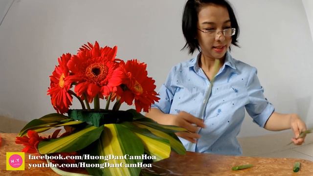 Cắm hoa tập 4 | Lẳng HOA ĐỒNG TIỀN giá chỉ 50k | Flowers Gerbera DIY смотреть онлайн