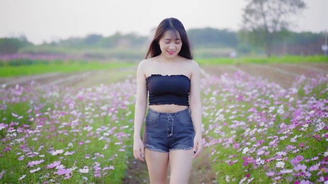 Can't Help Falling In Love Saxophone Mp3 Download 🎷Swing saxophone music 853 смотреть онлайн