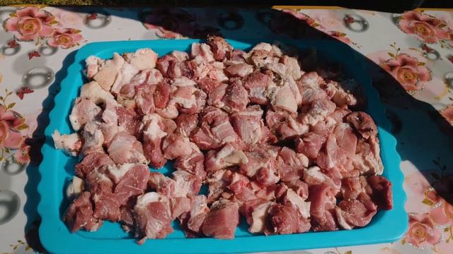 ШАШЛЫК !!!ЭКСПЕРИМЕНТ!!! смотреть онлайн