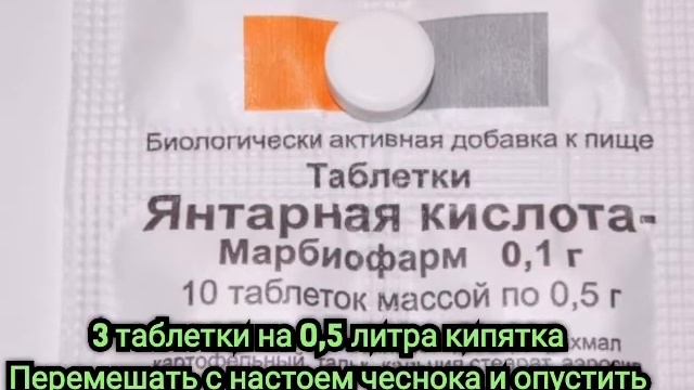 Поливаем орхидеи настоем чеснока и янтарной кислотой смотреть онлайн