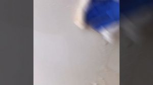 Как и чем отмыть натяжной потолок на кухне от жира ? Вся правда ! Беккер Сыктывкар.