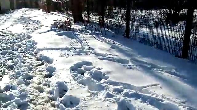 04.03.18. "Каналья" течет. Жизнь продолжается. Сосновый Бор смотреть онлайн