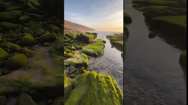 Турция Переехал в Турцию Море Пляж с камнями и мхом Turkey Часть 1 смотреть онлайн