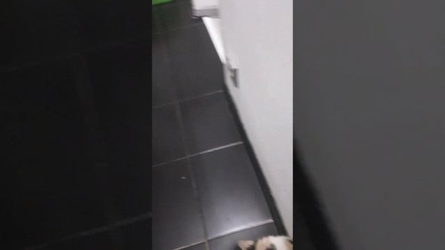 Простите что меня не было смотреть онлайн