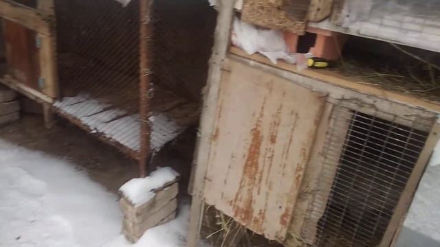 Обогрев для маточника в зимние время смотреть онлайн