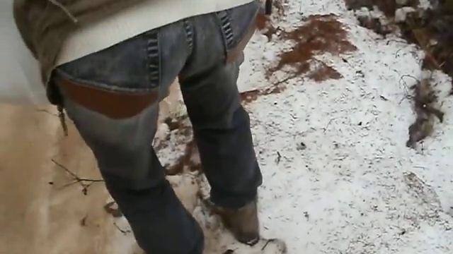 Лесной ручей смотреть онлайн