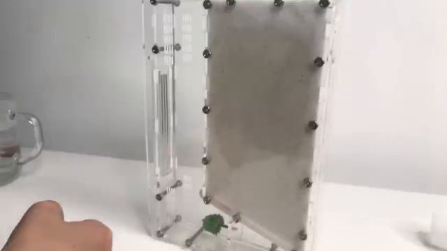 Тест новой песочной фермы для муравьёв