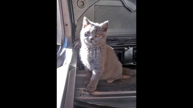 Про мою бывшую смотреть онлайн