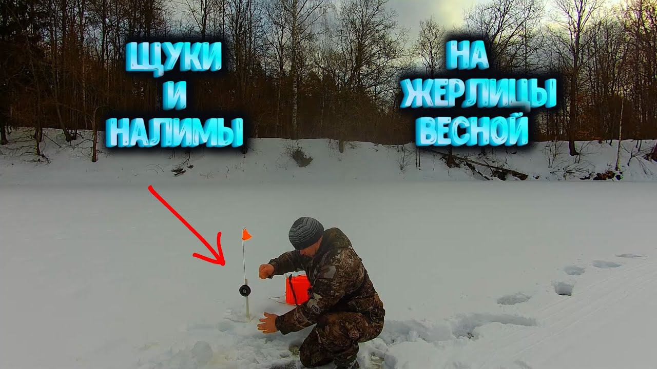 ✔ ЩУКИ и НАЛИМЫ на жерлицы Рыбалка на реке Керженец смотреть онлайн