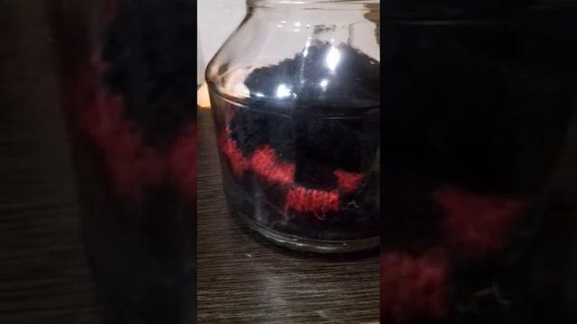 Спасли летучую мышь "нетопырь Куля" смотреть онлайн