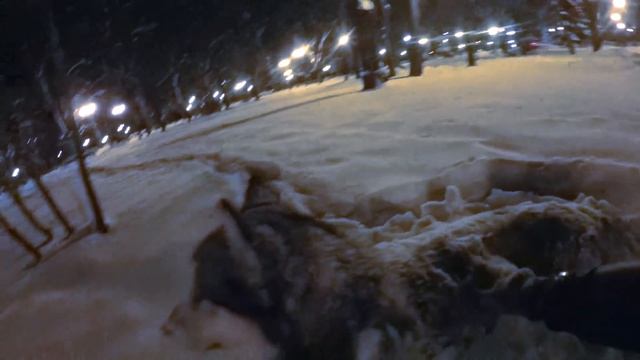 Лайфхак. Как мыть собаку ? Маламут в зимнем SPA смотреть онлайн