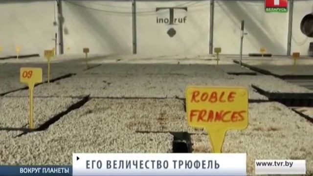 Испанские трюфели. Вокруг планеты смотреть онлайн