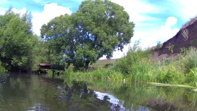 Хорошо на речке летом смотреть онлайн