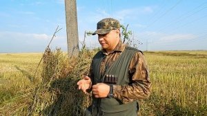 Охота на вяхиря! Наш опыт. Советы. Рекомендации. Часть 1