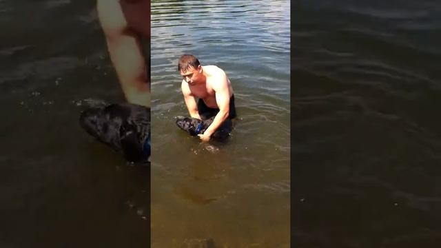 Мишка - спасатель смотреть онлайн