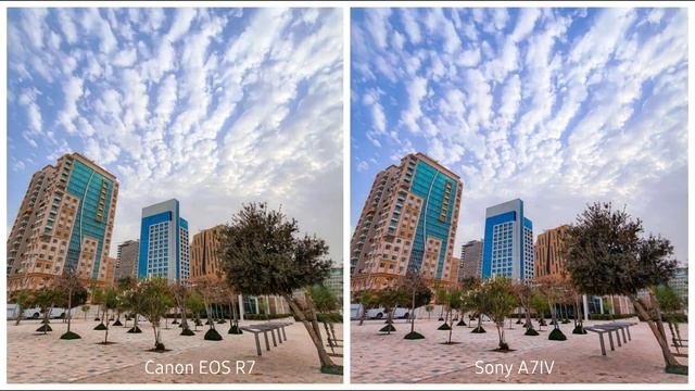 Canon EOS R7 VS Sony A7IV | auto-focus Camera Test & Comparison смотреть онлайн