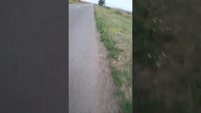 Уборочная 2021 как рассыпают зерно! смотреть онлайн