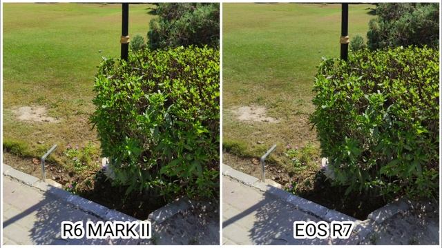 Canon Eos R6 Mark II Vs Canon Eos R7 | Camera Test Comparison смотреть онлайн