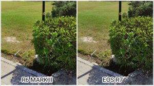 Canon Eos R6 Mark II Vs Canon Eos R7 | Camera Test Comparison