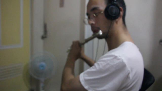Flute - Harry Potter - A Window to the Past смотреть онлайн