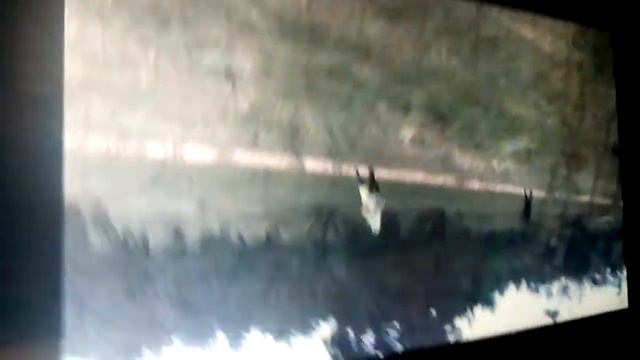 Новое новое видео Даша Кошкина смотреть онлайн