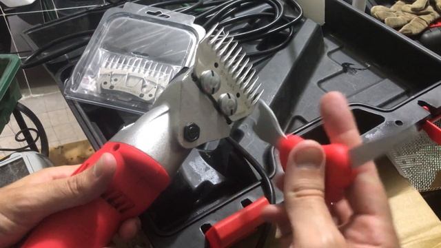 Sheep Shears Pro (Sheep Clippers) - Blade Changing