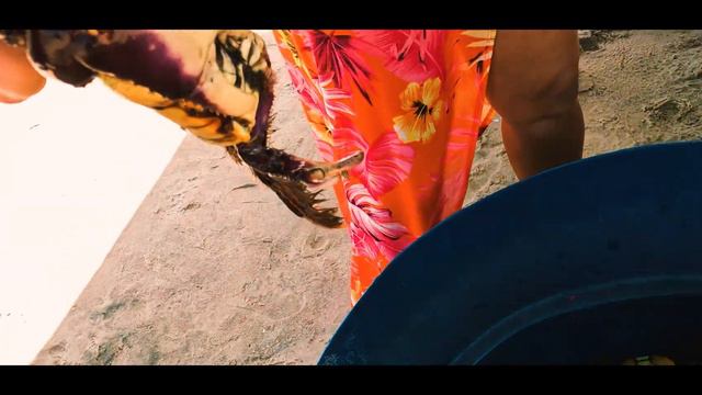 SALVADOR BAHIA Travel Film | BRASIL- Favela do Amor: Paripe, Praia do Forte, Jacuípe, Jaguaribe смотреть онлайн
