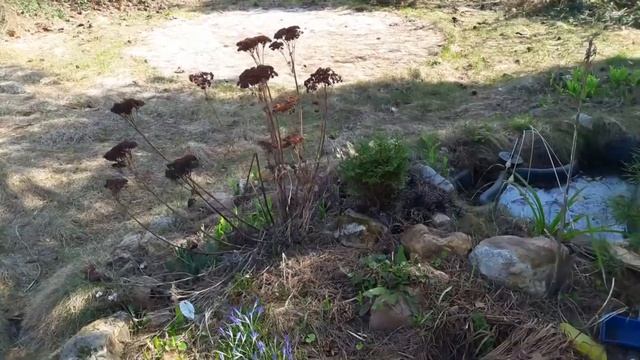 Первая поездка на дачу,все без прикрас. смотреть онлайн