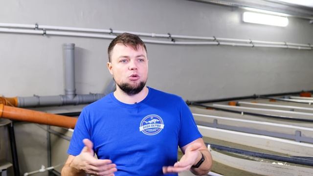 Белуга умирает. Проблемы выращивания и наш опыт смотреть онлайн