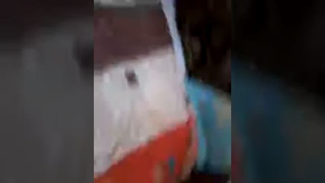 Богатая ворона :-) смотреть онлайн