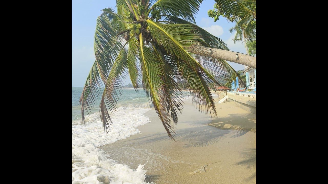 #15 Обиды. Принятие. Гибкость. смотреть онлайн