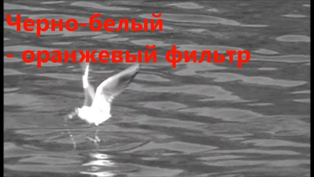 Киностудия Windows Live Визуальные эффекты смотреть онлайн