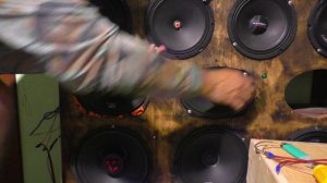 DL Audio Gryphon Pro 69 Midbass